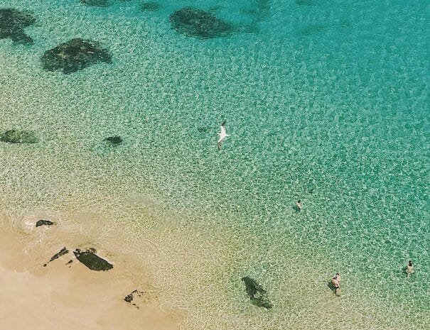 noronha experiencias