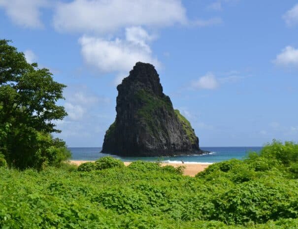 noronha experiencias